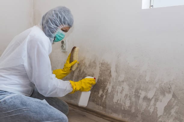 Water Damage Restoration in Kingstowne, VA