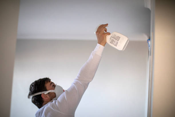 Mold Removal and Inspection in Kingstowne, VA
