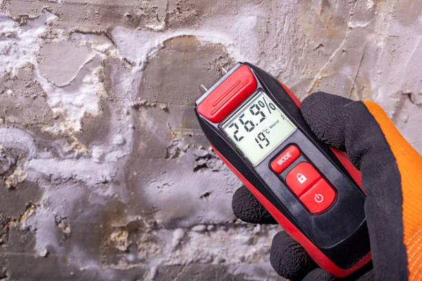 Best Mold Remediation  in Kingstowne, VA