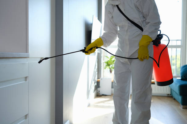 Best Mold Removal Near Me  in Kingstowne, VA