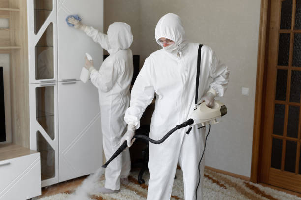 Best Certified Mold Removal  in Kingstowne, VA