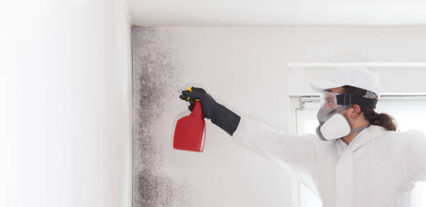 Best Mold Remediation  in Kingstowne, VA