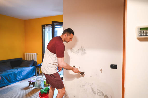 Best Commercial Mold Removal  in Kingstowne, VA