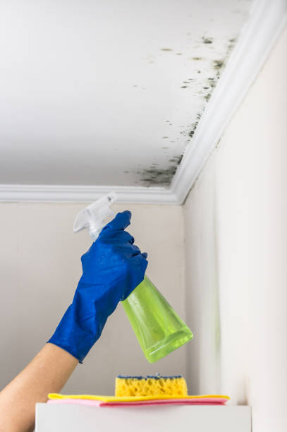 Best Mold Testing  in Kingstowne, VA