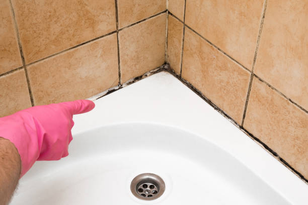 Best Office Mold Removal Services  in Kingstowne, VA